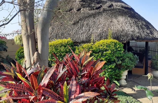 Beautiful 2-bedroomed Guest Cottage in Harare