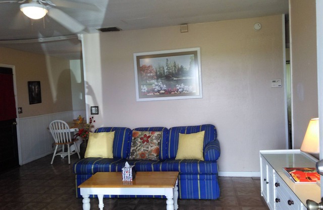 Country Home Legoland Disney Bok Paracaidismo Mascotas