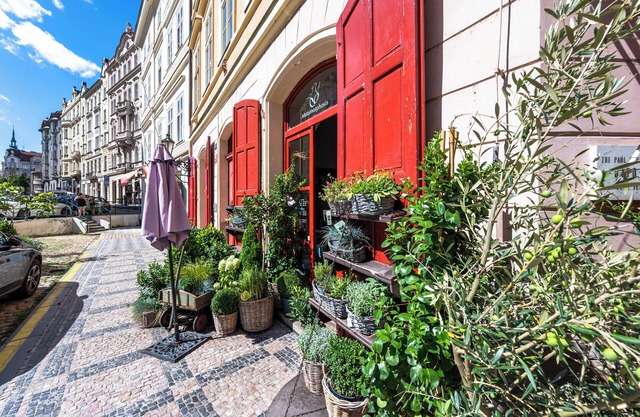 Cozy apartment in the Old Town