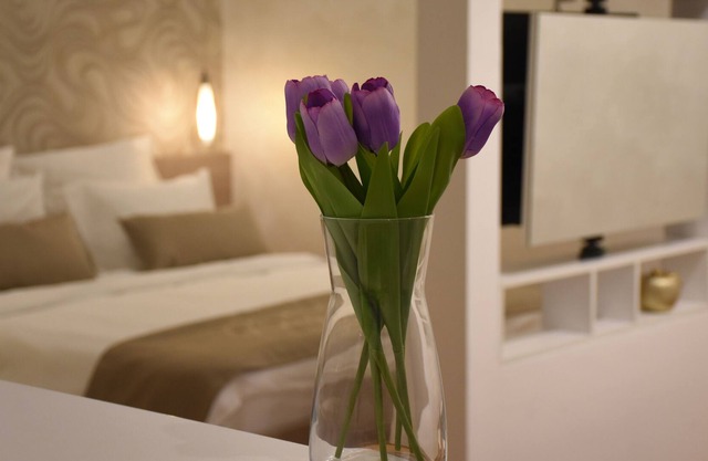 Acogedor, limpio, encantador, nuevo apartamento en el centro de la ciudad de Belgrado