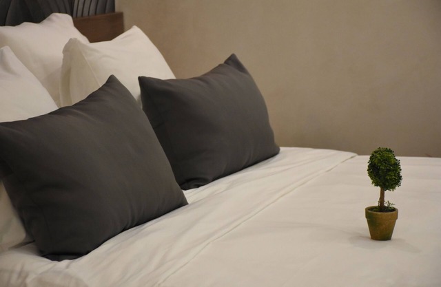 Acogedor, limpio, encantador, nuevo apartamento en el centro de la ciudad de Belgrado
