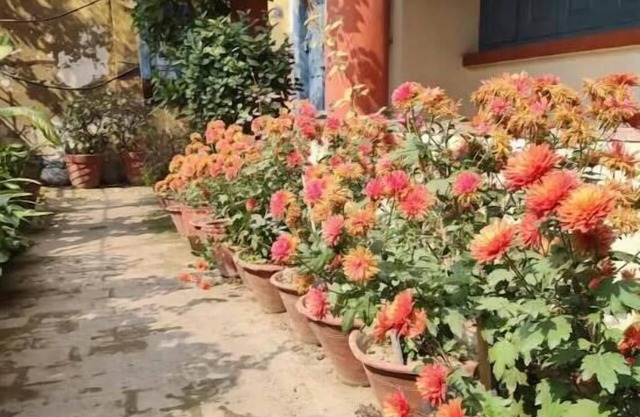 Cozy Escape Nest, Varanasi