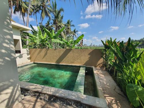 Cozy Mudram One Bedroom Private pool W Kitchenette
