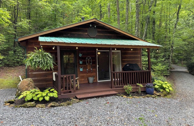Cozy, well equipped cabin in scenic Wears Valley.