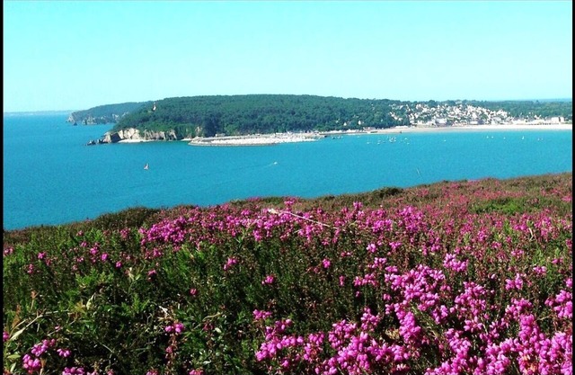 Crozon Morgat: Casa / villa / chalet - CROZON