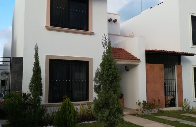 Dalilas casa y mascotas
