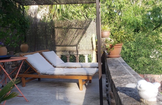 Dans une Maison en Pierres au Milieu des Mimosas,