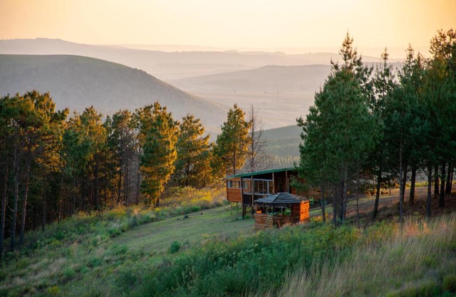 Dargle Forest Lodge