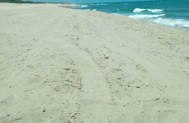 Casa de vacaciones Delfino