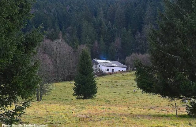 Detached luxury chalet in Gérardmer - 15 people - spa -5 bathrooms