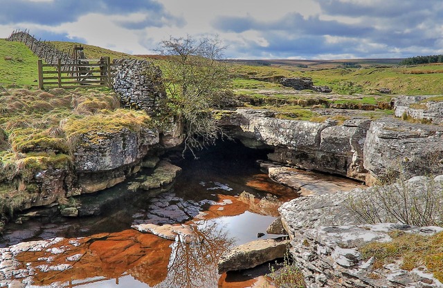 Casa para discapacitados en una granja de ovejas en funcionamiento.