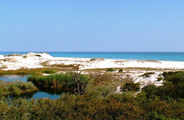 Descubre una verdadera joya junto al mar rodeada por el Parque Estatal de Grayton y el Golfo