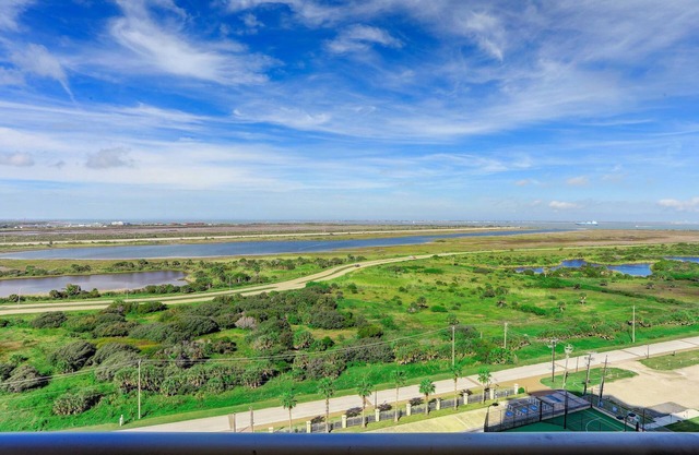 Palisade Palms 12th Floor Bay Views - Large Dogs Ok!