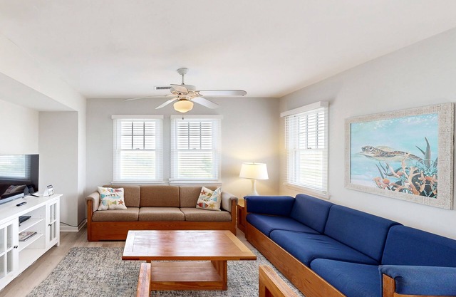 Dog-friendly townhouse w/ WiFi, private W/D, shared pool, AC - ocean view