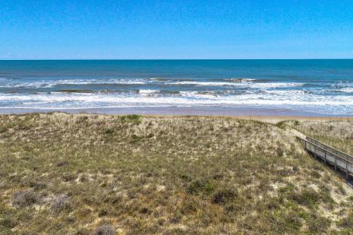 Dolphin Watch 224