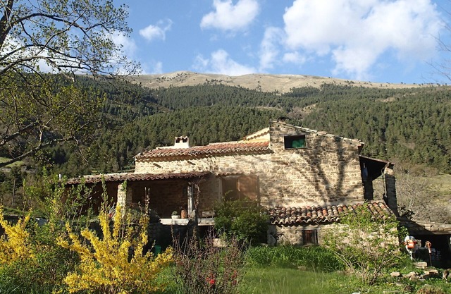 Domaine du Fa: casa "escuela" en el borde de un centenario de castaño