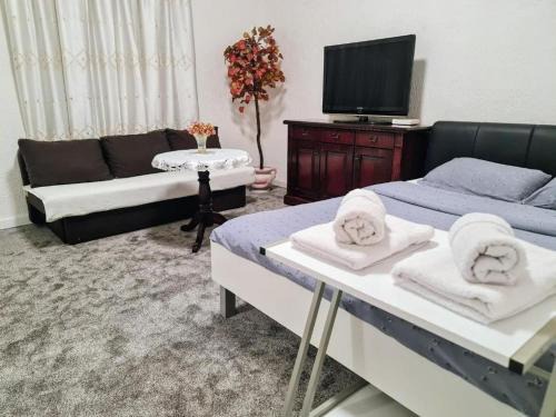 Dream apartment 1