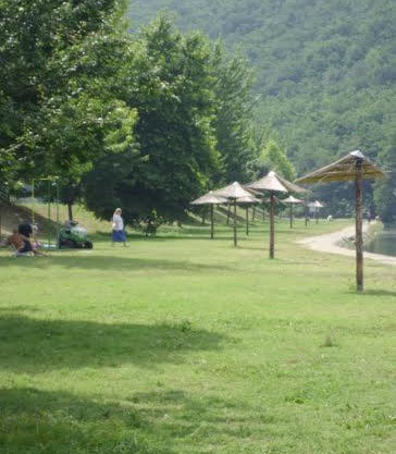 Eko Vlasina