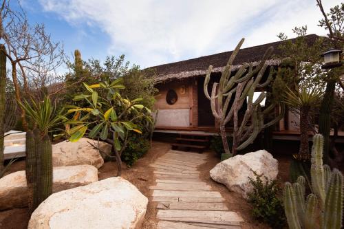 El Perdido Desert Dream- Adults Only