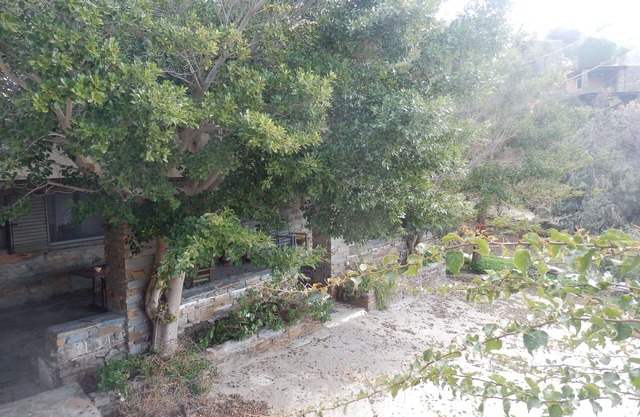 Elea casa de piedra vista mar