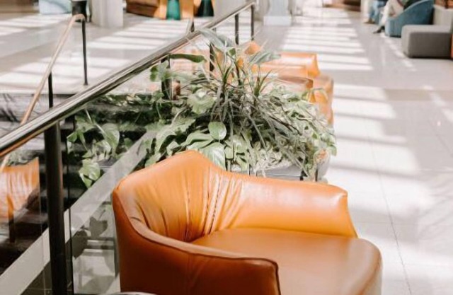 Elegant Patron King Suite + Art Lover's Retreat