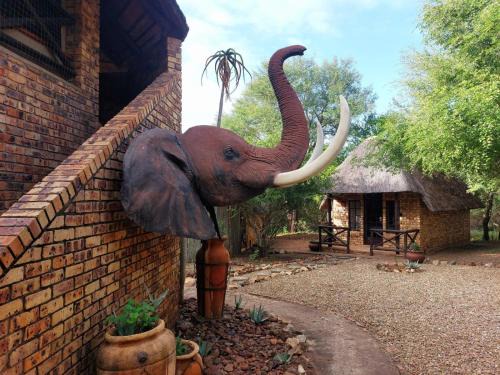 Elephant Memories