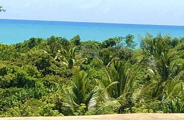 Eliza Bungalow, luxury with sea view in Trancoso