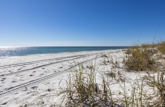 ¡Fabuloso otoño en Inlet Beach! Reserve ahora para ver las puestas de sol más bellas.