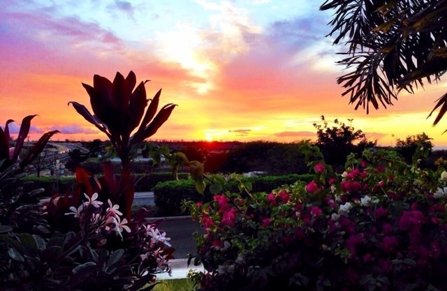 Disfruta viendo las fotos de tu Hale (hogar) lejos de casa