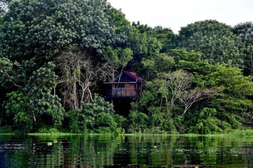 Eware Treehouse