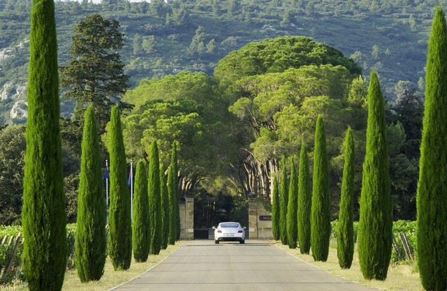 Excepcional castillo privado en el corazón de la Provenza, cerca de St. Rémy