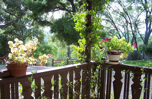 Explore la costa central desde Portola Inn Guest House