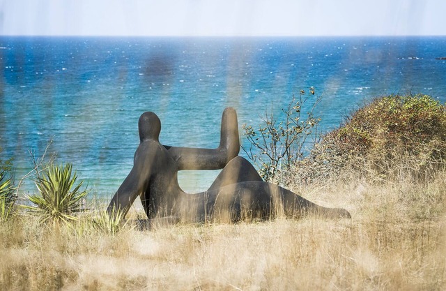 Facing the sea-Artist's house of Colette-Calm and Nature in the middle of 4 hectares