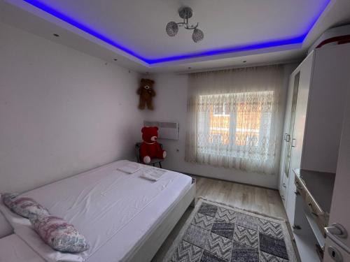 family house