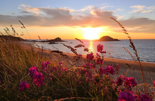 Family house, walking distance to the beach, near St Malo
