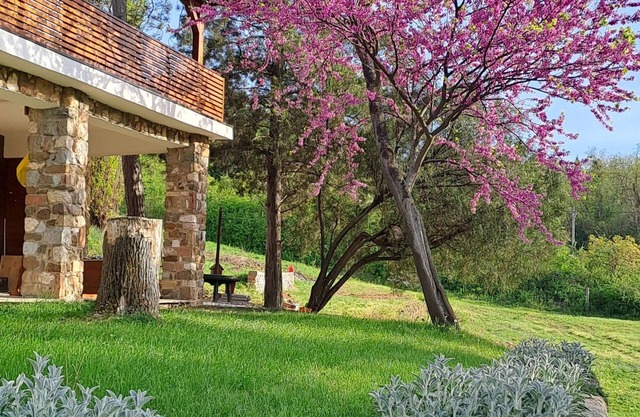 Felicita Vila in nature suitable for accommodation during the EXIT festival!
