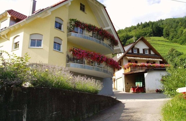 Ferienhof Mayer - Apartamento 2