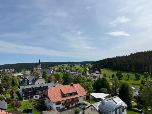 Ferienwohnung Schönwaldblick - 2 große Balkone mit traumhafter Sicht - barrierefrei - Mein SWH