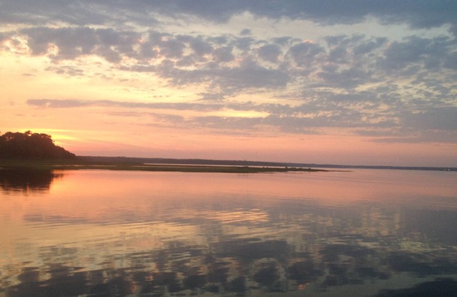 Encanto / Pet Friendly Cottage en Edgartown