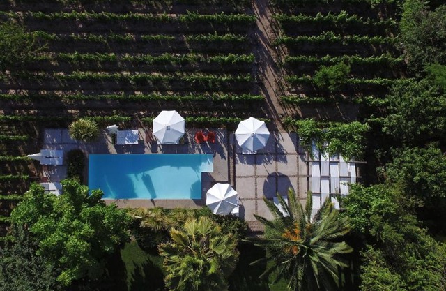 Finca Adalgisa