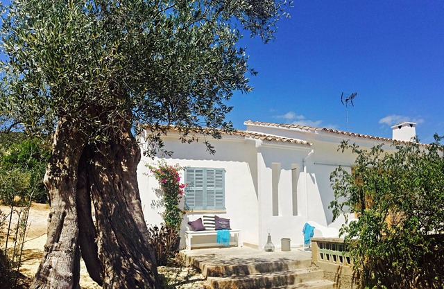 Finca en el olivar con vistas a la montaña y piscina, ubicación central