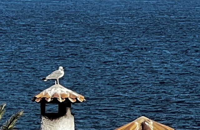 Primera línea de mar