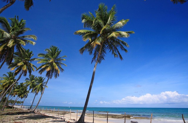 PISO DE 2 DORMITORIOS BEACH RESORT