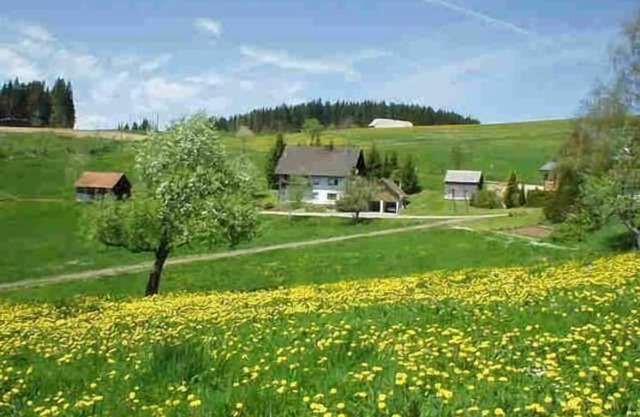 Apartamento de vacaciones Titisee-Neustadt para 1 - 5 personas con 2 dormitorios - Apartamento