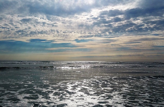 Beach forestal y de spa a pocos metros