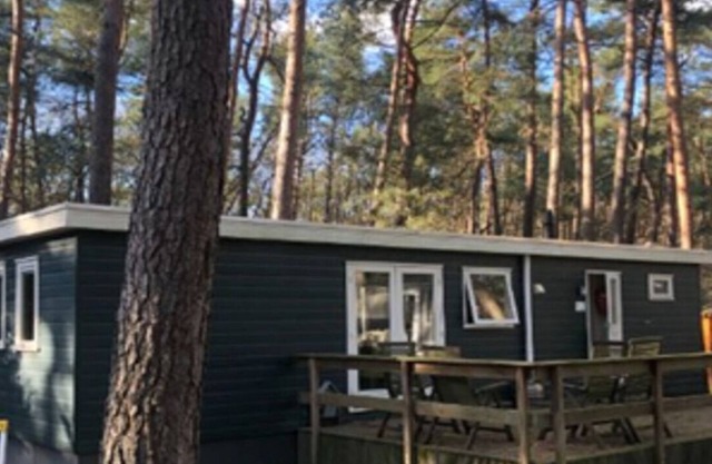 Chalet Forest, Amberes