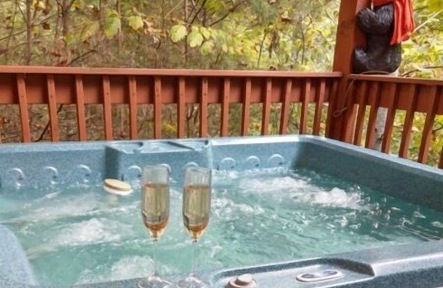 Forest View Hideaway: aislado, excelentes servicios, jacuzzi, sala de juegos, cerca de todas las atracciones.