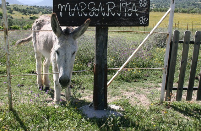 Alquiler íntegro Casa Rural "Los Cuatro Olivos"