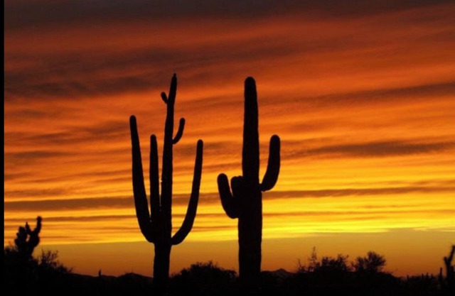 DIVERSIÓN EN EL SOL DE ARIZONA!