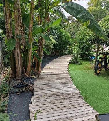 Gîtes citadin avec jardin arboré